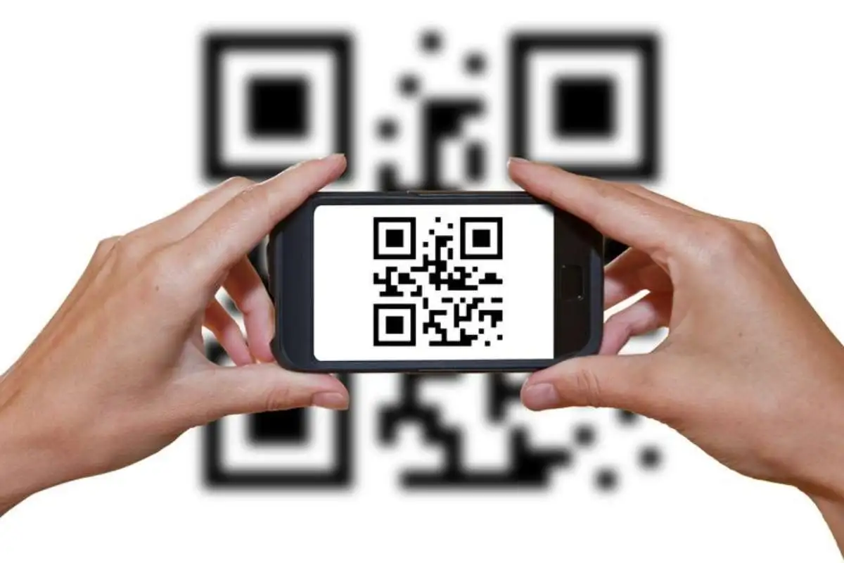 Schädlings-Monitoring - AHS Schädlingsbekämpfung