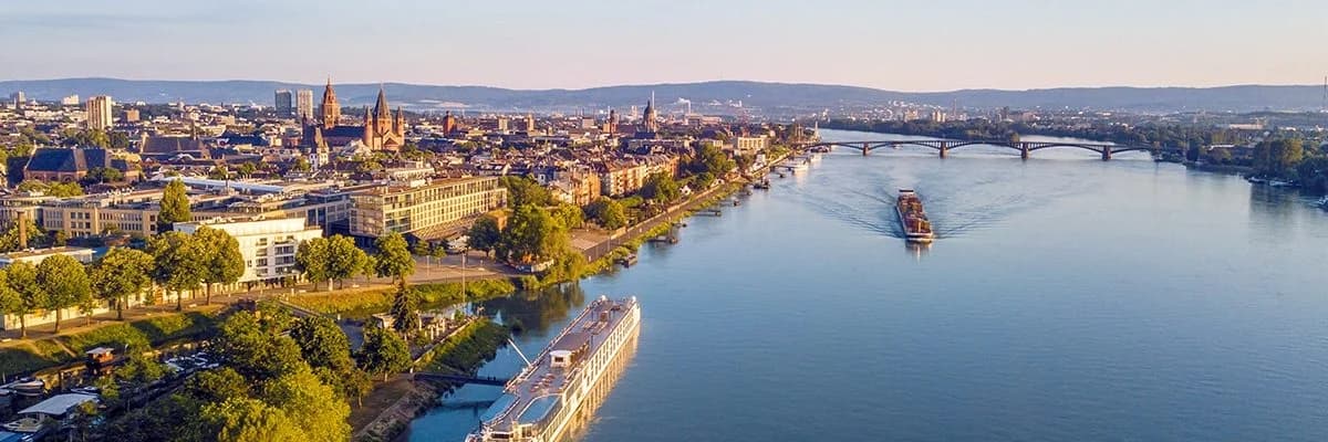 Schädlingsbekämpfung Mainz