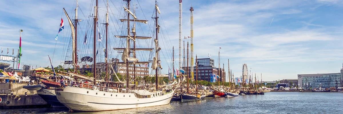 Schädlingsbekämpfung Kiel