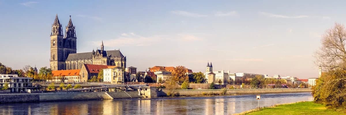 Schädlingsbekämpfung Magdeburg